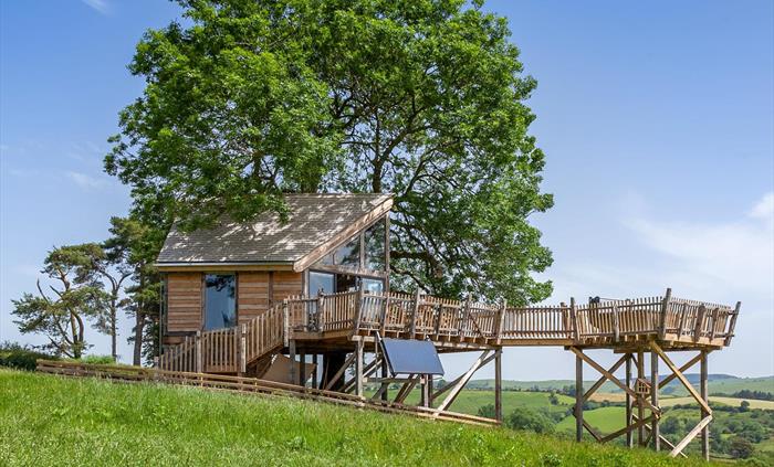 Cadwollen's Treehouse